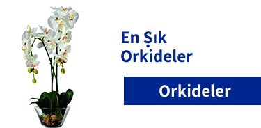 Orkideler